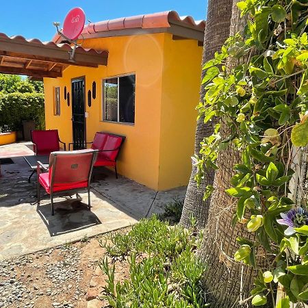 Hostel Rancho El Campanario En La Ruta Del Vino Valle de Guadalupe Exteriér fotografie