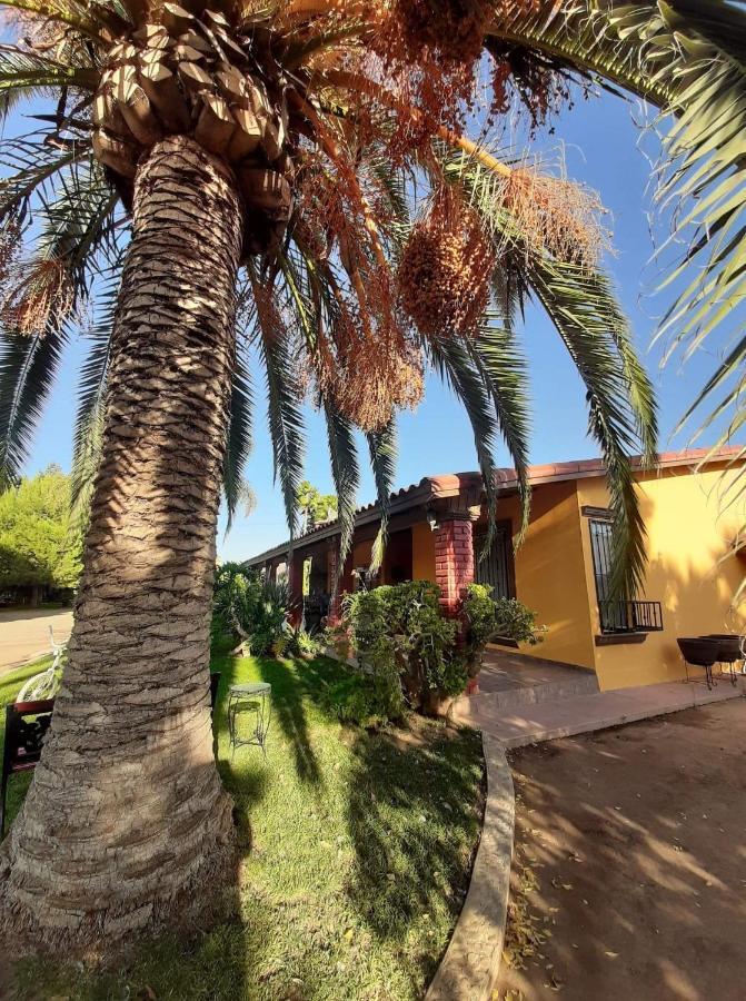 Hostel Rancho El Campanario En La Ruta Del Vino Valle de Guadalupe Exteriér fotografie