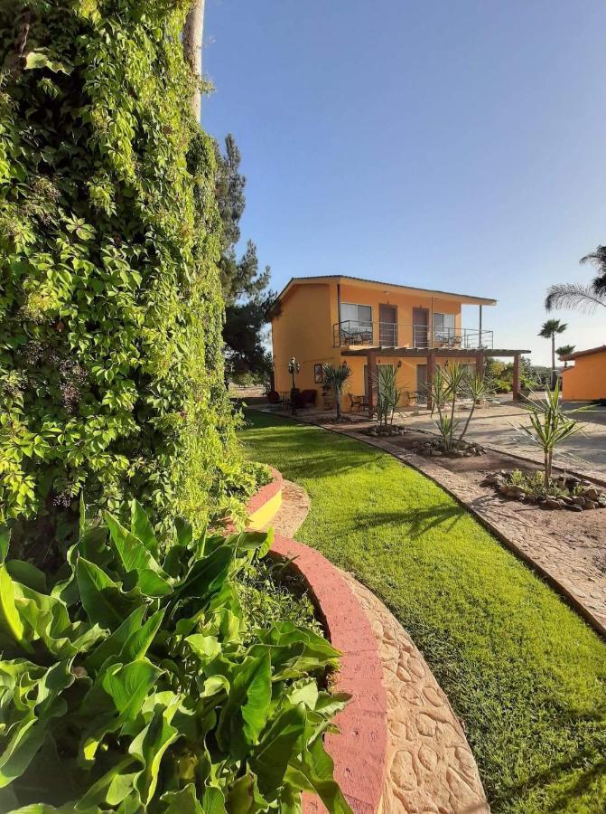 Hostel Rancho El Campanario En La Ruta Del Vino Valle de Guadalupe Exteriér fotografie