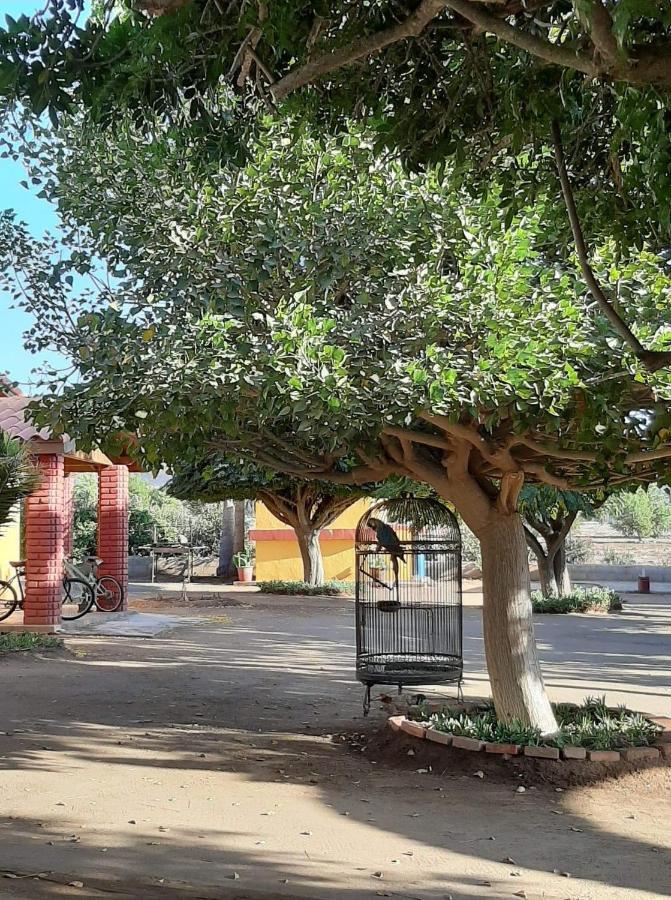 Hostel Rancho El Campanario En La Ruta Del Vino Valle de Guadalupe Exteriér fotografie