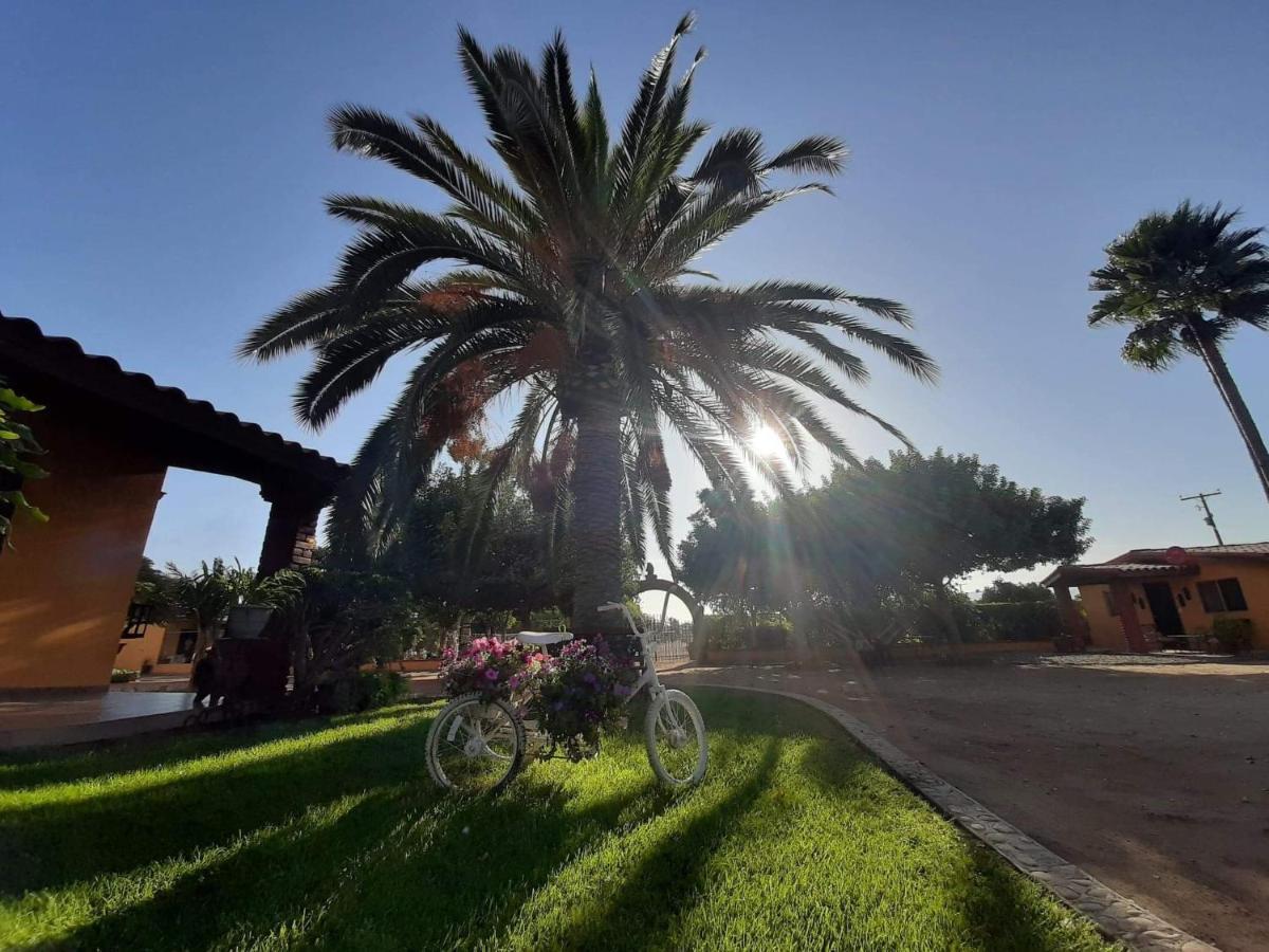 Hostel Rancho El Campanario En La Ruta Del Vino Valle de Guadalupe Exteriér fotografie