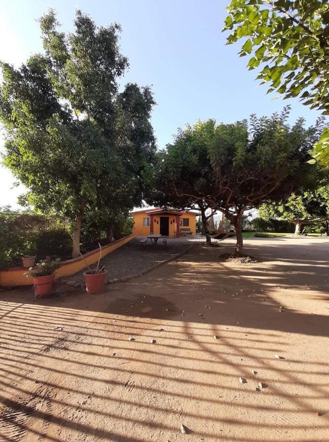 Hostel Rancho El Campanario En La Ruta Del Vino Valle de Guadalupe Exteriér fotografie