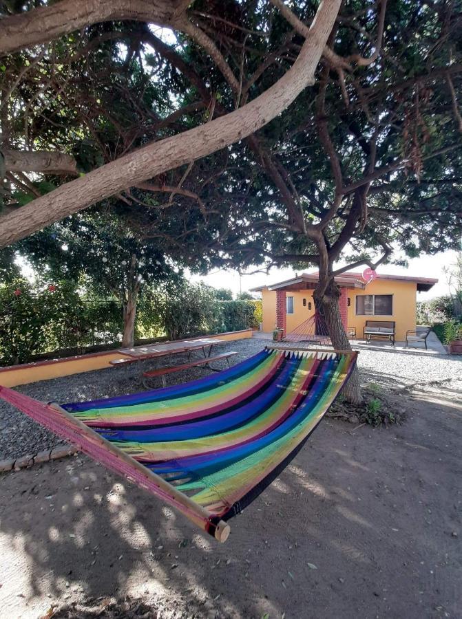 Hostel Rancho El Campanario En La Ruta Del Vino Valle de Guadalupe Exteriér fotografie
